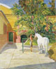 Cheval gris et sa maitresse